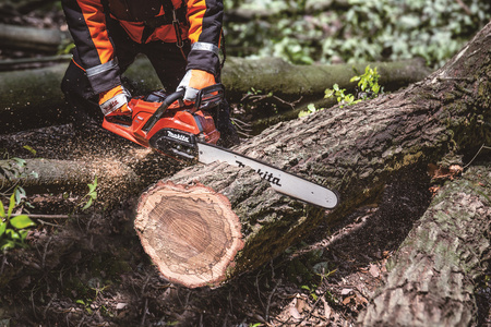 MAKITA UC030GZ03 AKUMULATOROWA PILARKA ŁAŃCUCHOWA 50cm XGT® 40V SIGNAL RED