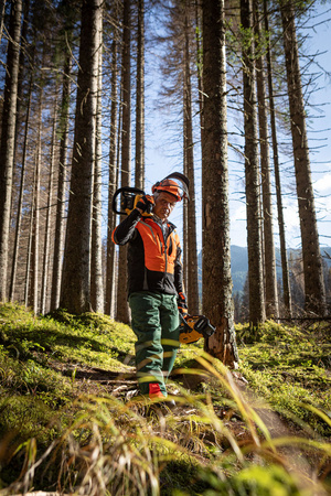 DeWALT DCMCST635N PIŁA ŁAŃCUCHOWA 54V FLEXVOLT 35cm