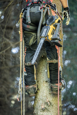 DeWALT DCMCST635X1 PIŁA ŁAŃCUCHOWA 54V FLEXVOLT 35cm