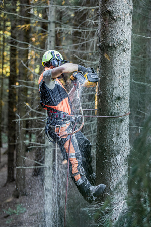 DeWALT DCMCST635N PIŁA ŁAŃCUCHOWA 54V FLEXVOLT 35cm