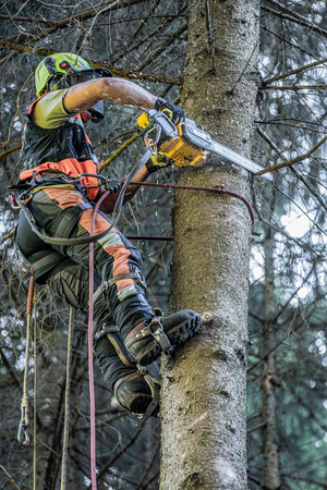 DeWALT DCMCST635X1 PIŁA ŁAŃCUCHOWA 54V FLEXVOLT 35cm