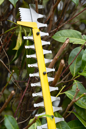 STANLEY SFMCHT855B NOŻYCE DO ŻYWOPŁOTU 55CM 18V SERIA V20 - BODY