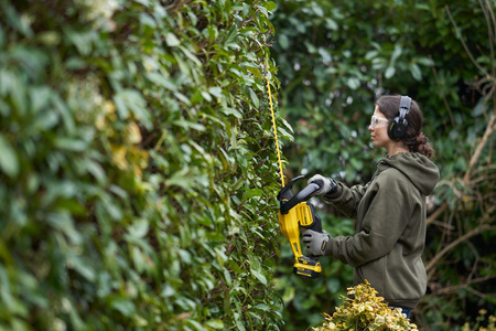 STANLEY SFMCHT855M1 NOŻYCE DO ŻYWOPŁOTU 55CM 18V SERIA V20 + 4Ah