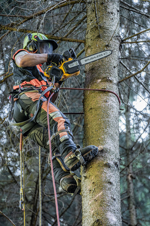 DeWALT DCMCST635X1 PIŁA ŁAŃCUCHOWA 54V FLEXVOLT 35cm