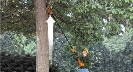 BLACK DECKER GPC1820L20 PIŁA DO GAŁĘZI 18V + 2,0Ah