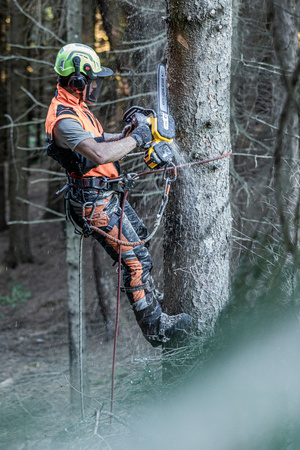 DeWALT DCMCST635N PIŁA ŁAŃCUCHOWA 54V FLEXVOLT 35cm