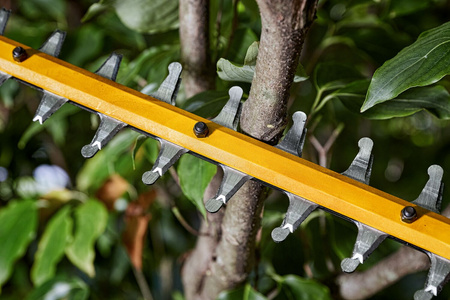 DeWALT DCMHT573N NOŻYCE DO ŻYWOPŁOTU 54V 65cm