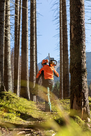 DeWALT DCMCST635X1 PIŁA ŁAŃCUCHOWA 54V FLEXVOLT 35cm