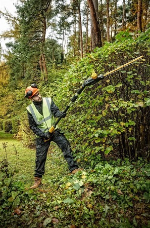 DeWALT DCMPH566P1 NOŻYCE DO ŻYWOPŁOTU 18V + 1x5,0Ah