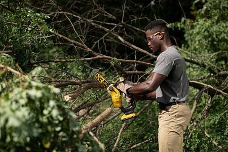 DeWALT DCMPS520P1 AKUMULATOROWA KOMPAKTOWA PIŁA ŁAŃCUCHOWA 18V + 5Ah